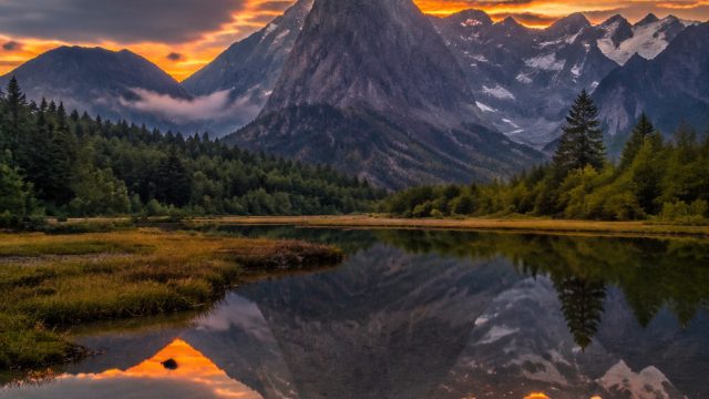 Designing with Color: The Impact of Photography Wallpapers | u win casino, slot99 info