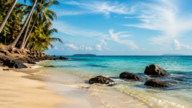 Embrace Summer Vibes with Stunning Wallpapers for Your Devices | pmo adalah gaul, dgs slot77, bocora