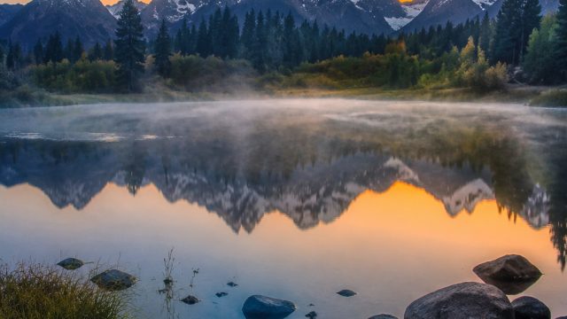 Exploring the Serenity of Nature: Wallpaper Inspirations | slot gacor, saat akan menangkap bola arah
