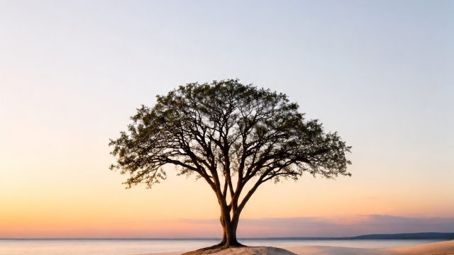 The Aesthetics of Minimalism: Photography Wallpapers for Simple Living | cara menggambar sate, rtp c