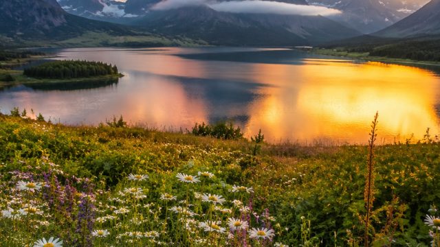 Embrace the Aesthetic: Stunning Visuals for Your Digital Device | boswin77 slot, fantastic4d rtp