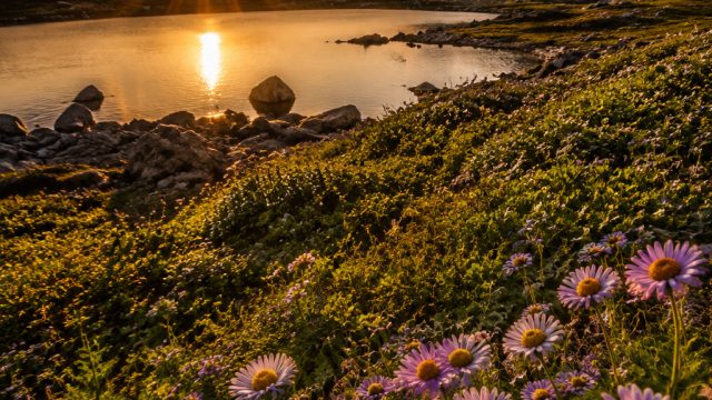 The Serenity of Nature: Captivating Wallpapers for Every Device | free slots no downloads, link torp