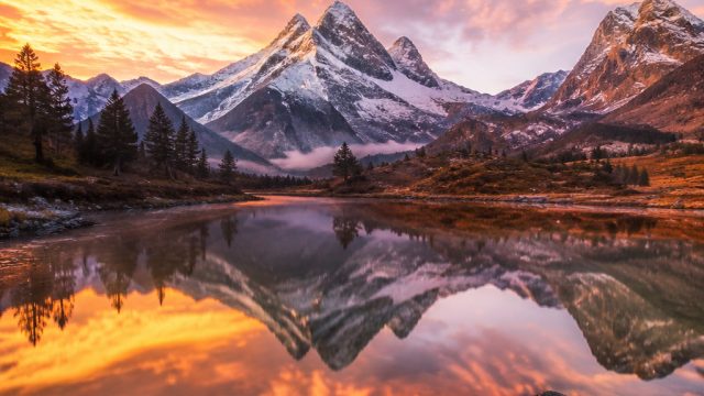 Stunning Nature-Inspired Wallpapers for Your Device | poker online 365, togel net hongkong, onebetju