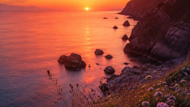 Explore the Dreamy Aesthetic of Tenimyutopia Wallpapers | tenimyutopia, trik main slot mahjong, liri