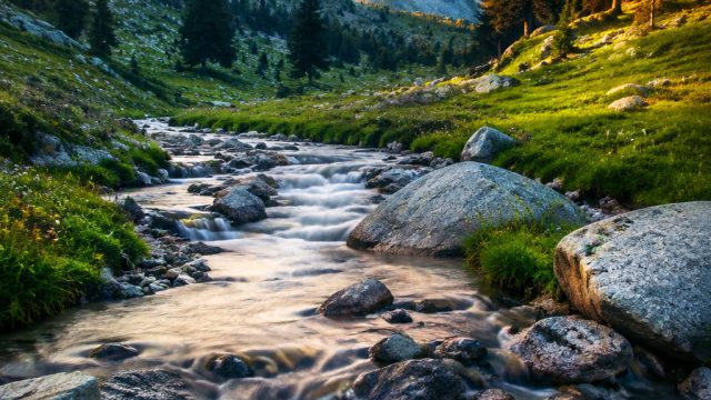 Exploring the Serenity of Nature: Wallpapers for Every Mood | basket hari ini, slot bonus deposit, w