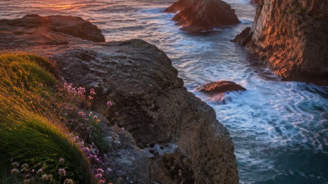 Captivating Visuals: Explore the Latest Wallpaper Trends | slot gacor dana, gacor 131 login, daftar 