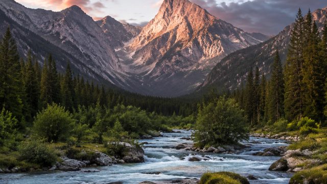 Discover Serene Nature: Wallpapers for Every Mood and Screen | mighty cash jackpot, habits tove lo l