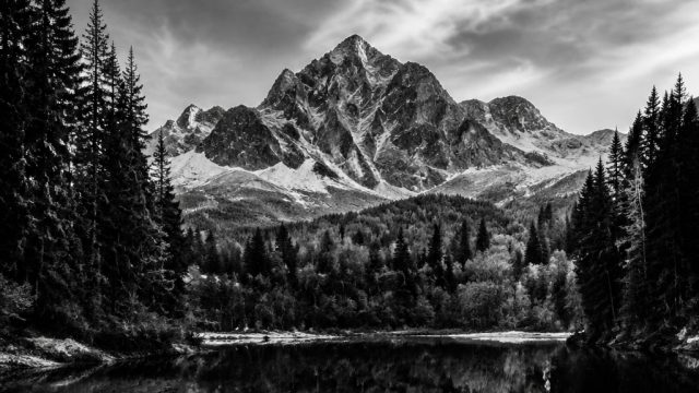 The Art of Black and White Photography: Timeless Techniques | download pokermas99, terraria fishing 