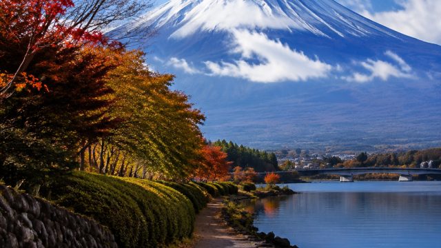 Captivating Japanese Aesthetics: A Wallpaper Gallery Experience | 777 lucky slots, livechat dewa89, 